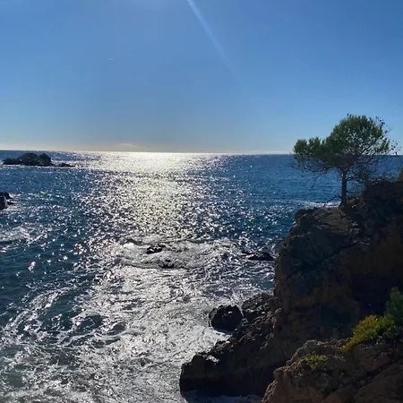 Piscis Διαμέρισμα *